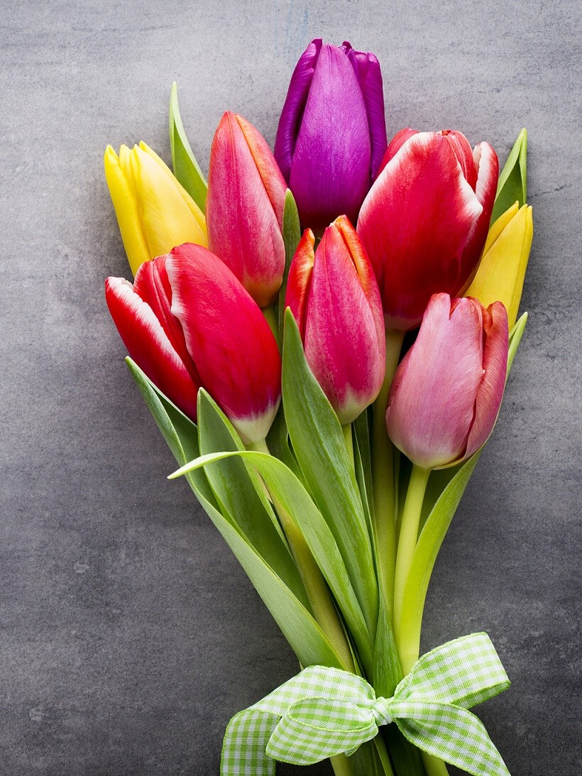 Вертикальные обои для телефона весна Букет тюльпанов
