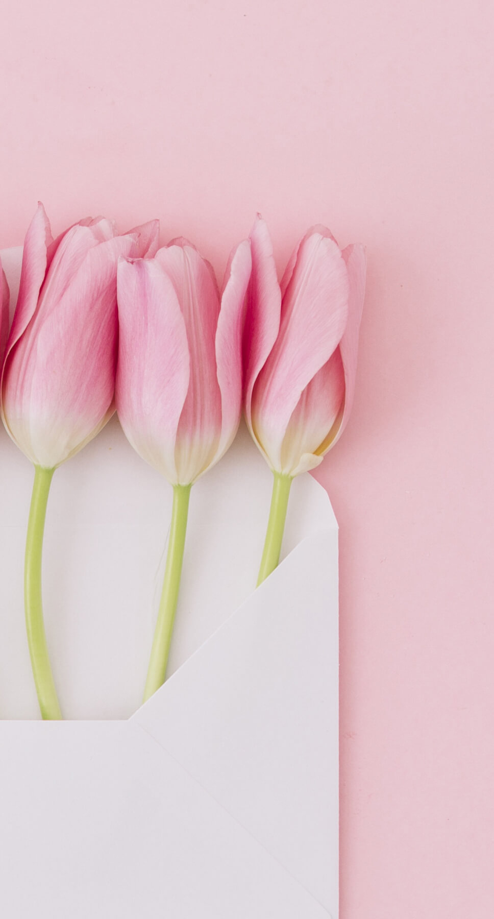 Вертикальные обои для телефона весна Ковер с розовыми тюльпанами