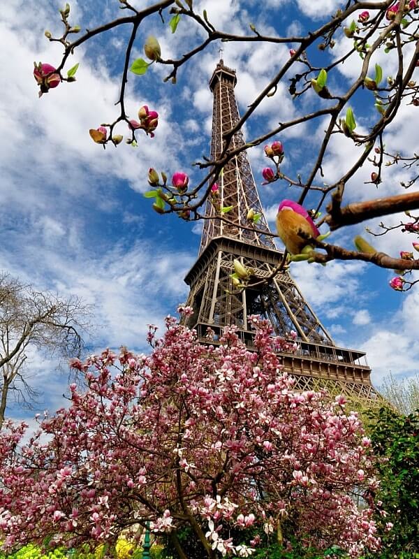 Вертикальные обои для телефона весна Весна в Париже