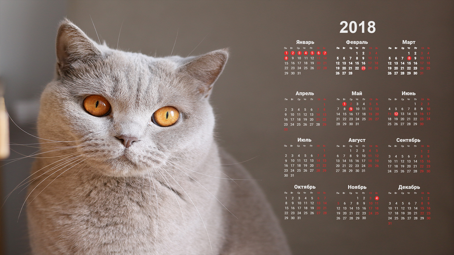 Добавить календарь на рабочий стол